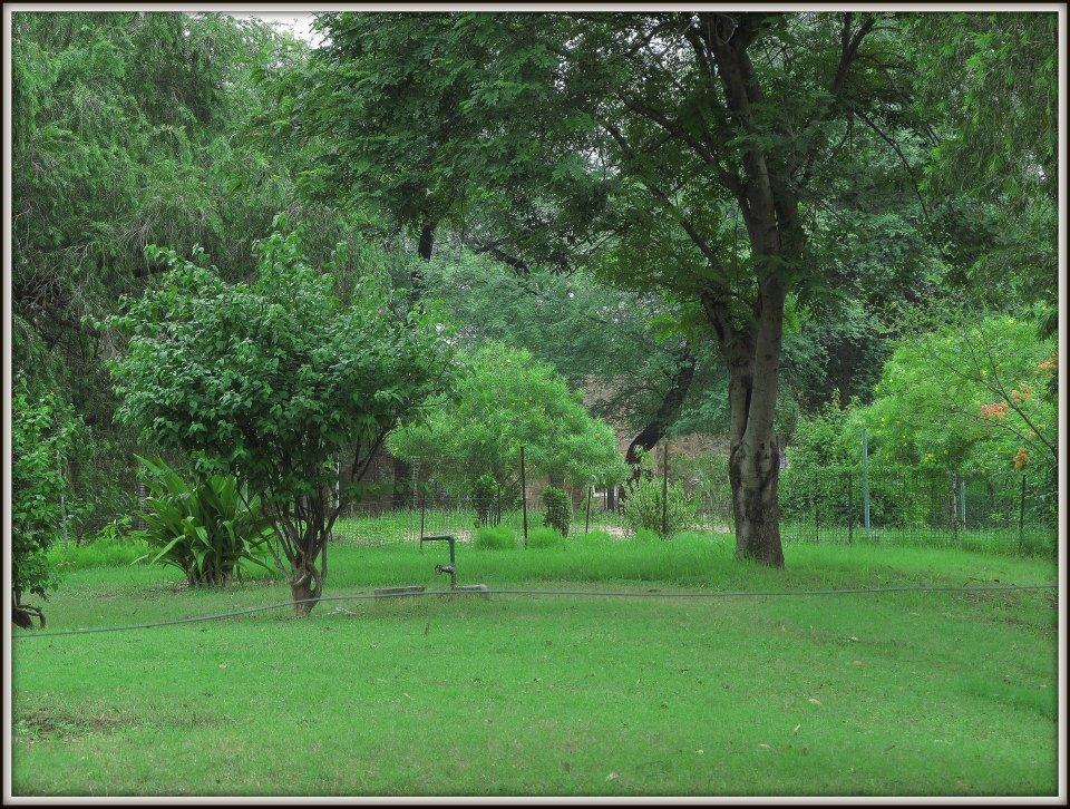 Hotel Bharatpur Ashok المظهر الخارجي الصورة